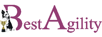 Bestagility