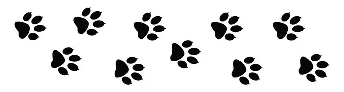 Lumiartti
