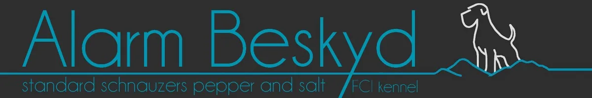 Alarm Beskyd