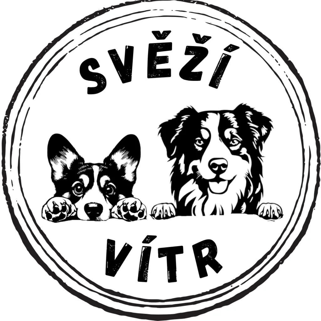 Svěží vítr