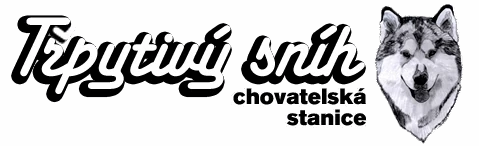 TřpytivýSníh.cz