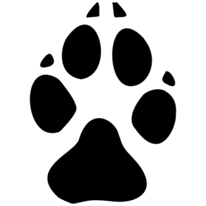 Fauben