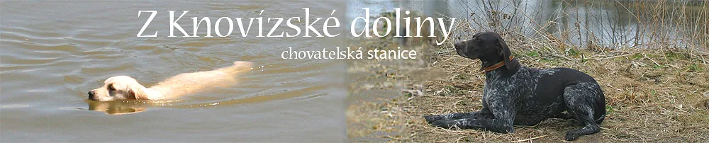 z Knovízské doliny