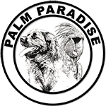 Palm Paradise