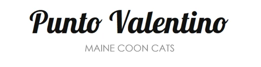 Punto Valentino