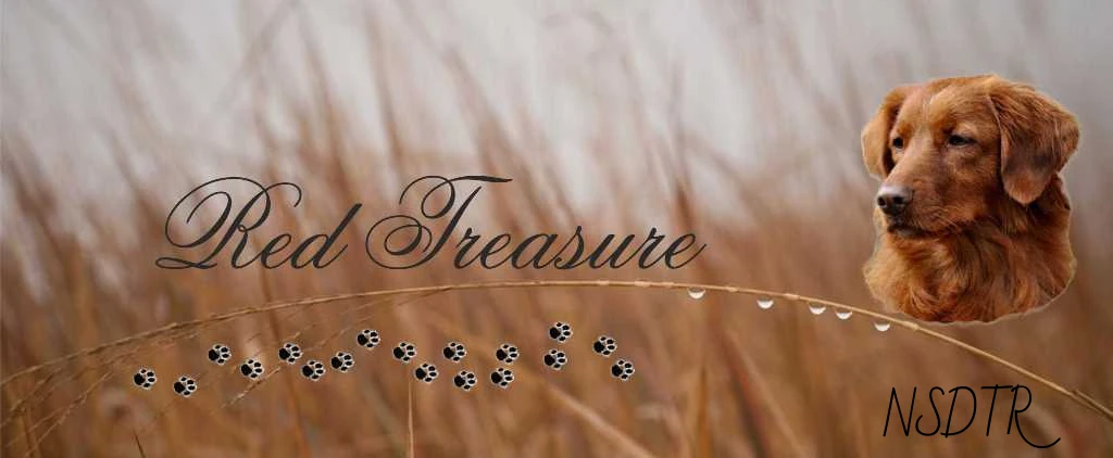 Red Treasure