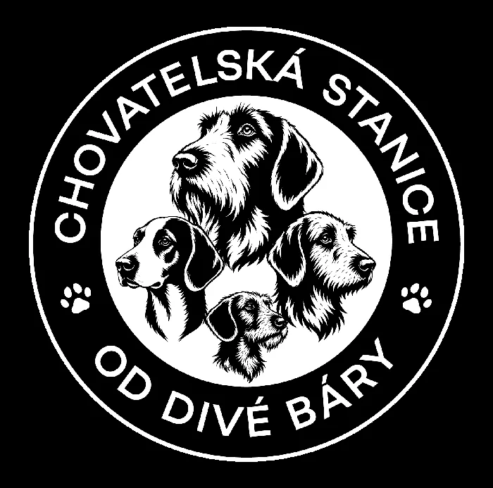 od Divé Báry