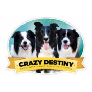 Crazy destiny