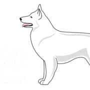 White Alexia