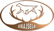 Flat Coated Retriever Anajsela