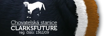 logo - velkého švýcarského salašnického psa