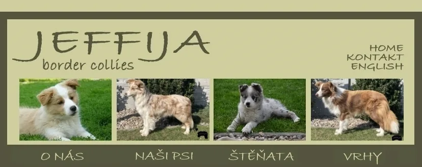 Jeffija