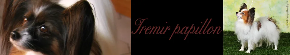 Iremir