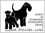 od Devíti vrb