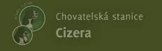 home-page
