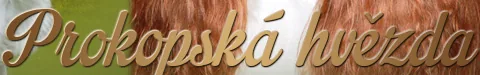Prokopska Hvezda- Cavalier King Charles spaniel