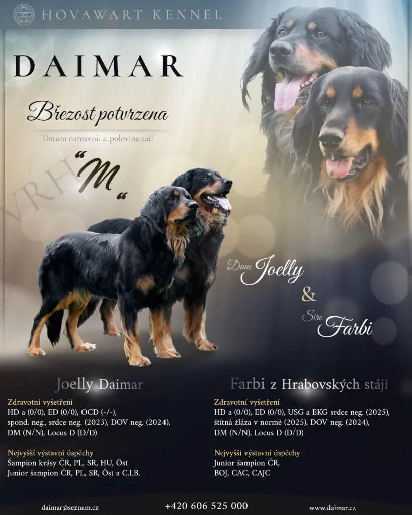 Daimar