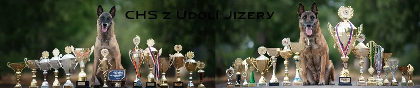 z Údolí Jizery