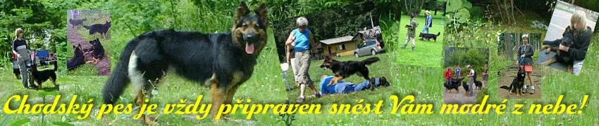Chodská tlapka