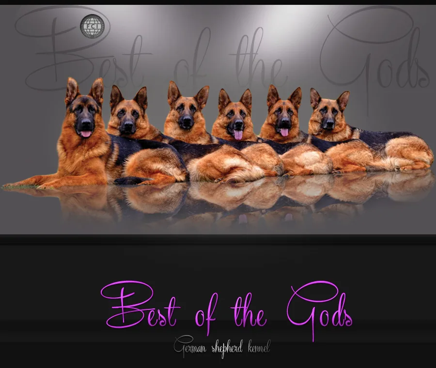 Best of the Gods