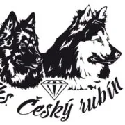 Český rubín