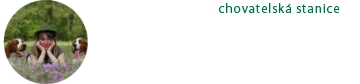 brixispride.com