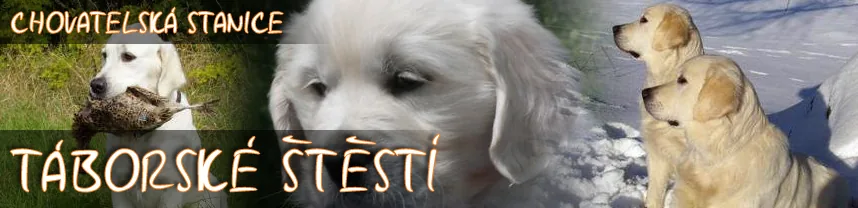 Táborské štěstí