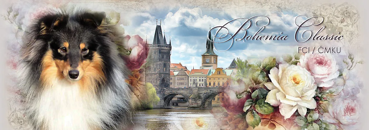 Bohemia Classic