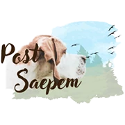 Post Saepem