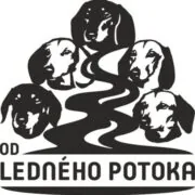 od Ledného potoka