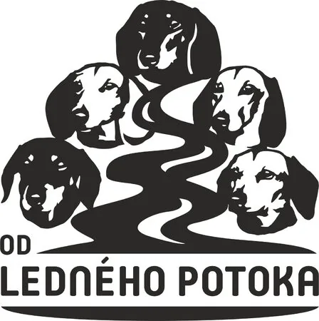 odlednehopotoka.cz