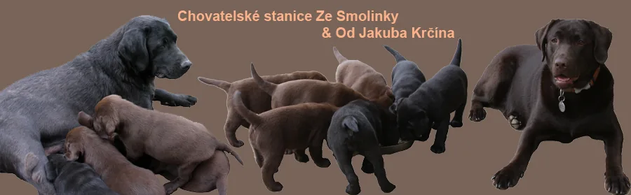 od Jakuba Krčína