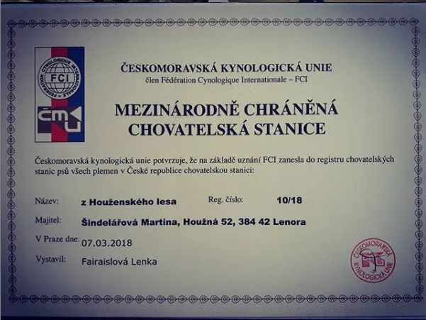 z Houženského lesa